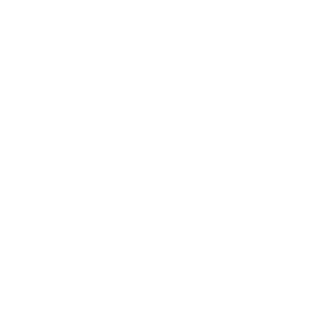 AL HASSAN LLC