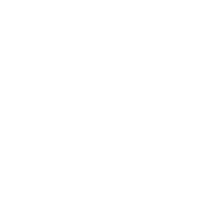 SCHNEIDER